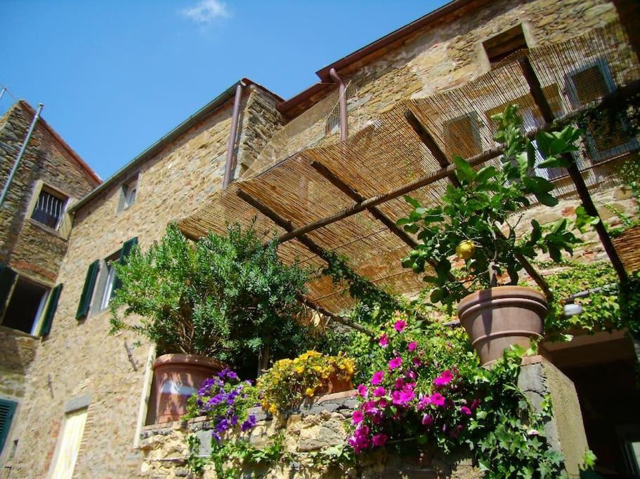 Near The Sea Big Panoramic House 2 Terraces In Lovely Village Монтиано Екстериор снимка