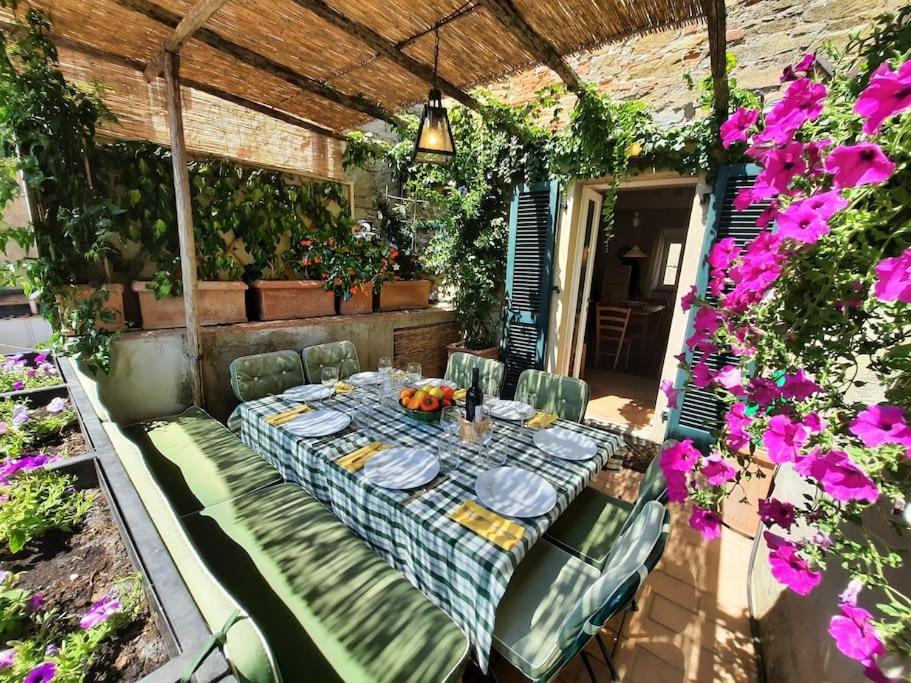 Near The Sea Big Panoramic House 2 Terraces In Lovely Village Монтиано Екстериор снимка